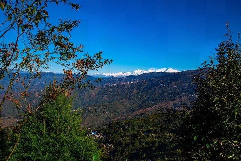 Kurseong A Quick Mountain Getaway Expert Travel Guides