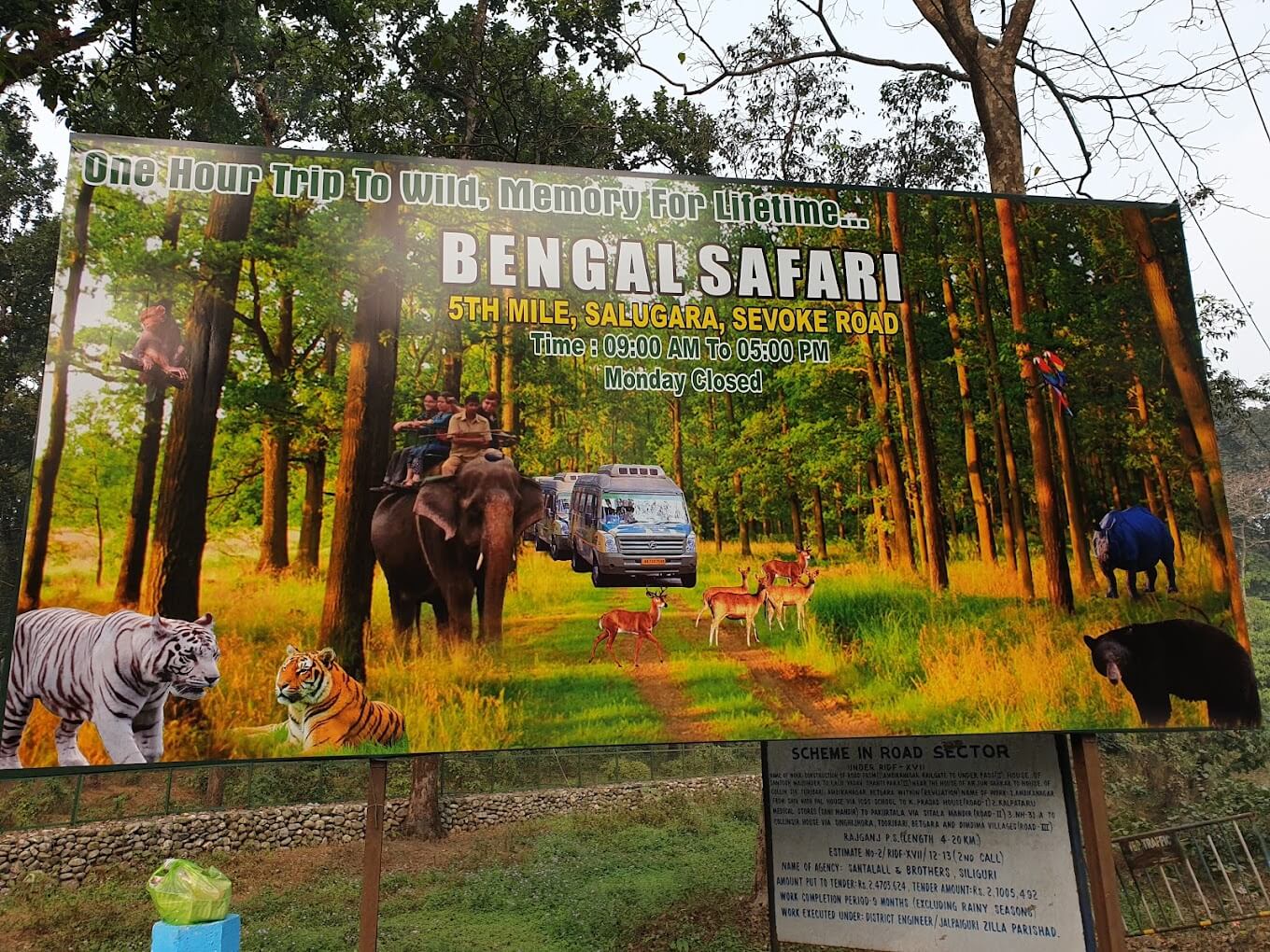 Bengal Safari Siliguri Entry fee, safari rates, photos and more