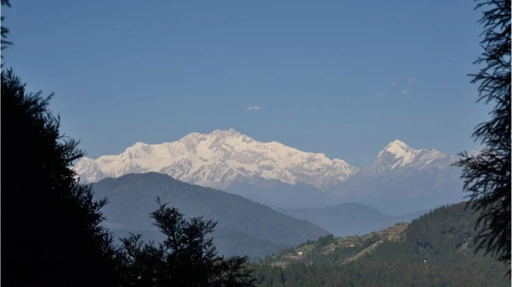 Valleys filled with pine trees with a distant view of Kanchenjunga.